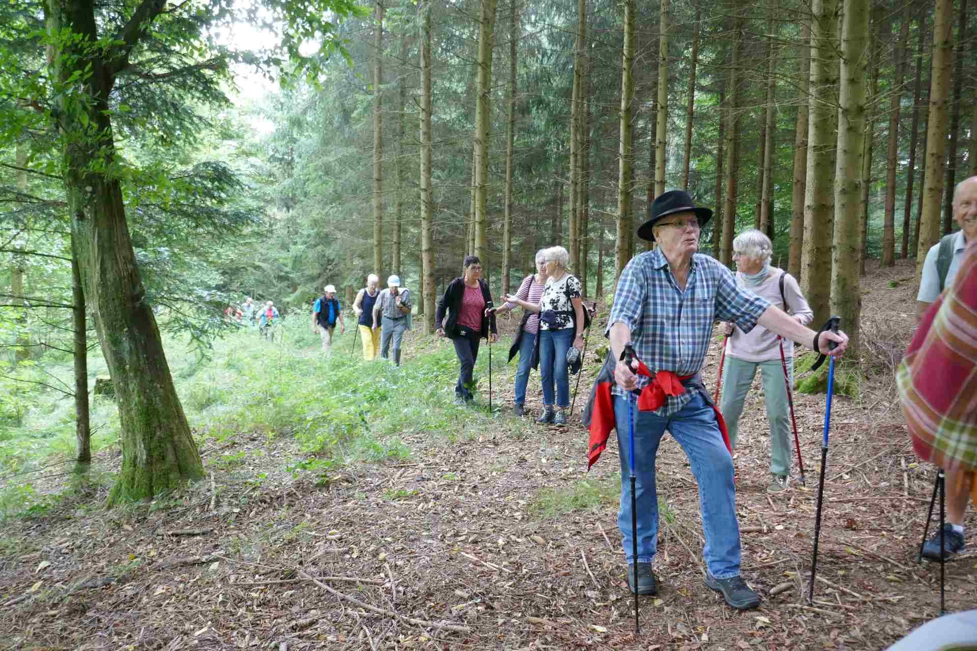 09 September - übers Pfaffenloh nach Westerhofen